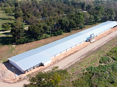 Agropecuaria Virrey S.A.