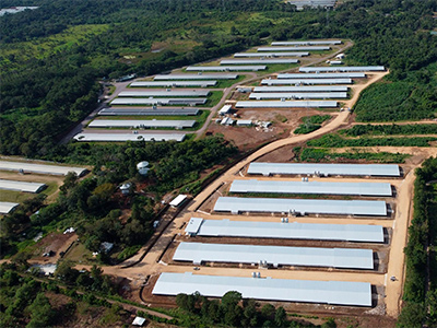 Avícolas Hondureñas Sostenibles S.A.​