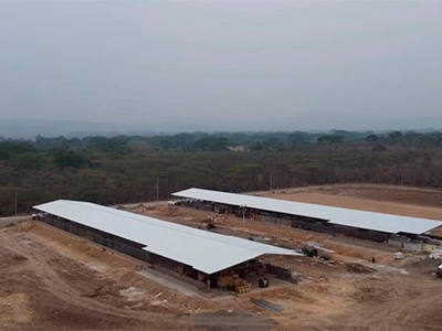 Desarrollos Agroindustriales S.A.