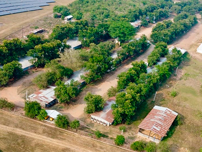 Empresa Agrícola Bono