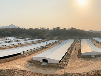 proyectos realizados