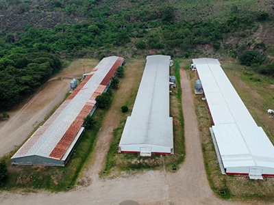 Granja Avícola Bahr