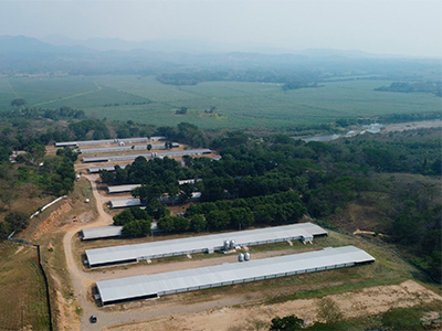 Inversiones del Argo